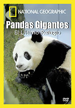 PANDAS GIGANTES: EL ULTIMO REFUGIO - NAT GEO